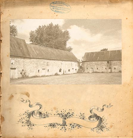 mamrmion farm